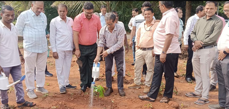 World Environment Day celebrated by CSIR-Institute of Minerals and ...